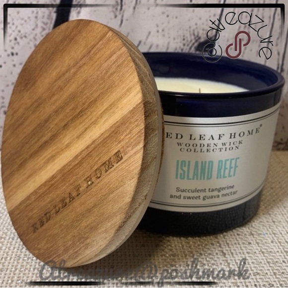 🆕 Red Leaf Home Island Reef Candle - Picture 1 of 9